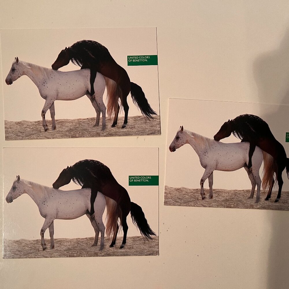 Vintage United Colors of Benetton Mating Horses Oliviero Toscani - THREE
